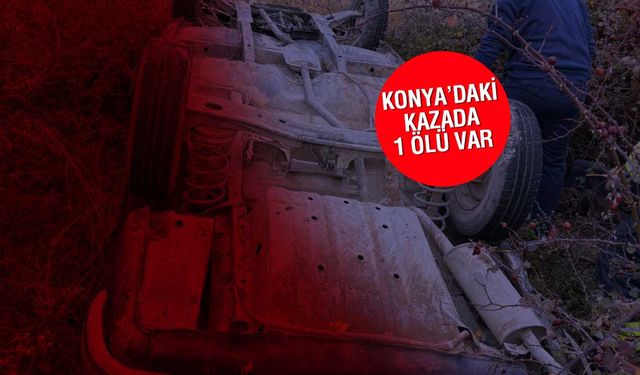 ARAÇ TERS DÖNDÜ SÜRÜCÜ YAŞAMINI YİTİRDİ