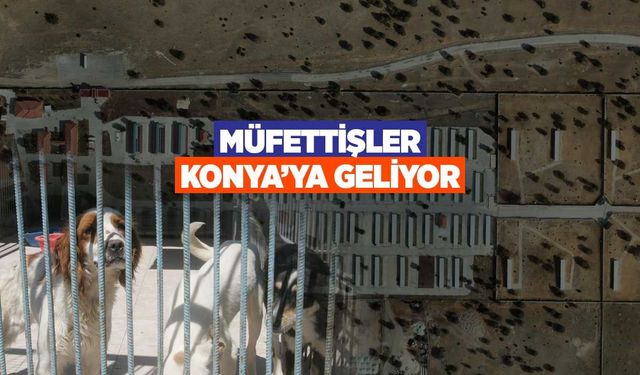 Konya’ya müfettiş yolda! Barınaklar mercek altında