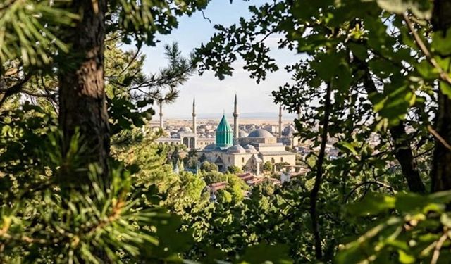Bozkırın Yeşil Mucizesi: Konya Orman Varlığında 6. Sırada