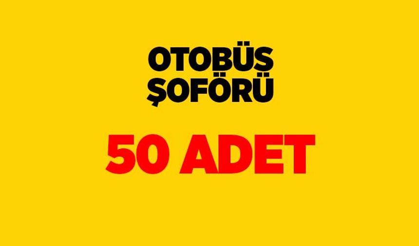Otobüs Şoförü: 50 Adet