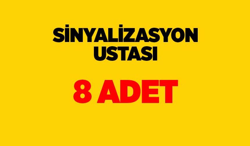 Sinyalizasyon Ustası: 8 Adet