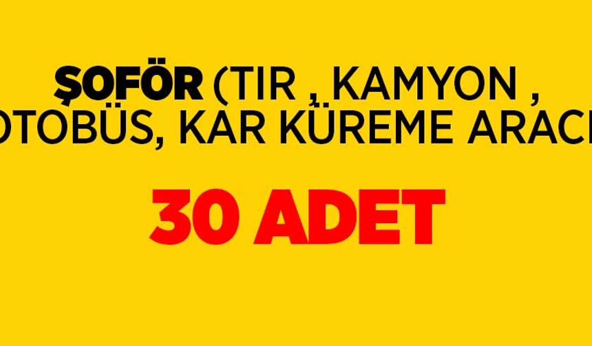 Şoför (Tır , Kamyon , Otobüs,Kar Küreme Aracı): 30 Adet
