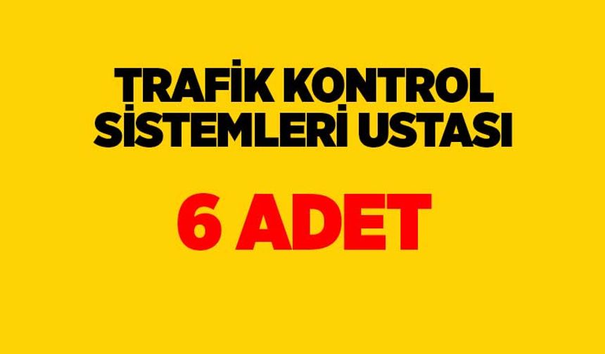Trafik Kontrol Sistemleri Ustası: 6 Adet