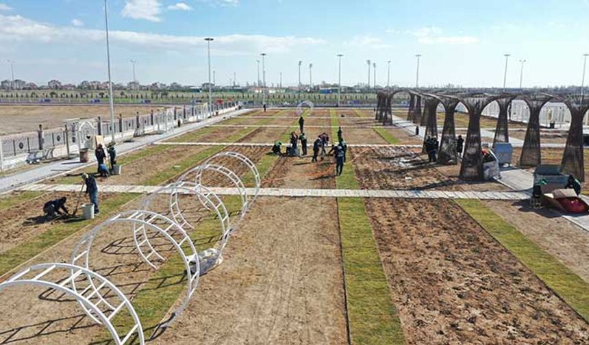 Gölgelikli salıncak, gül şemsiyesi, gazebo, gül takı, travers yürüyüş yolları, gül ağaçları ve daha birçok objenin yer alacağı Karatay Gül Bahçesi’nin yaz aylarında güllerin açmasıyla birlikte vatandaşların ziyaretine açılmış olacak. 