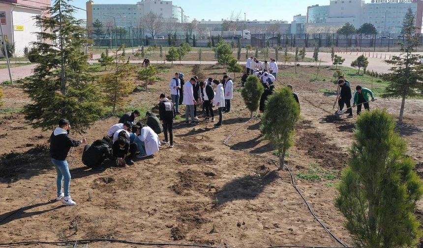 Başkan Kılca tüm Karatay'ı lavanta bahçesine dönüştürmeye kararlı