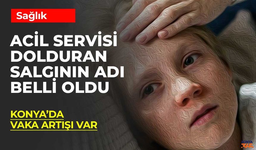 Konya'yı da Sarsan Salgının Adı Belli Oldu