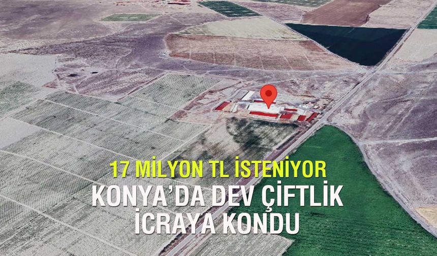 Konya Ereğli'deki Dev Çiftlik İcralık Olarak Satışa Çıktı