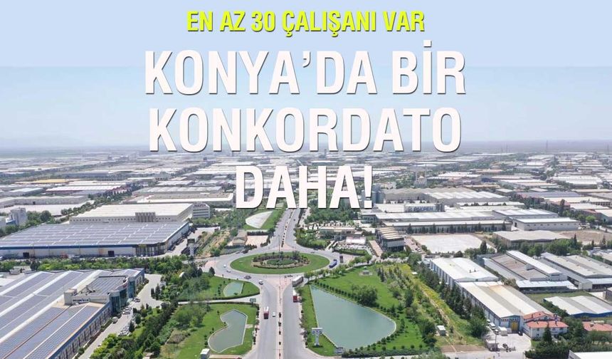 Robotik Hayaller Ertelendi: Konyalı Robomax Konkordato İlan Etti