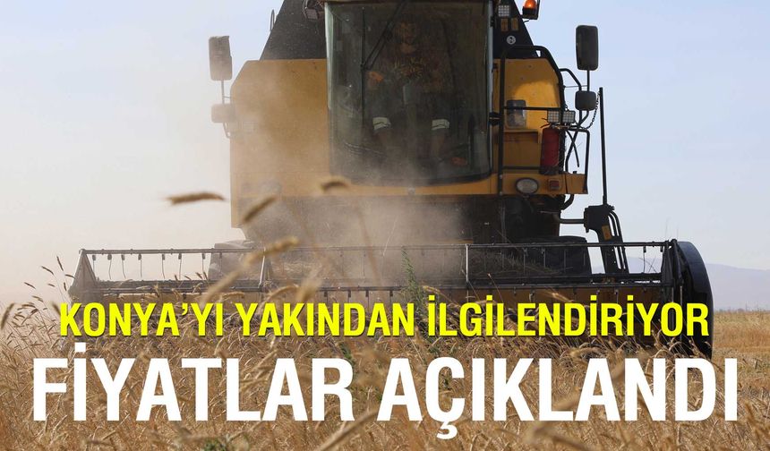 Konya'yı yakından ilgilendiriyor: TMO 2025 Hububat Alım Fiyatlarını Açıkladı