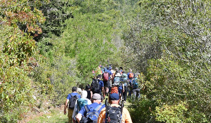 Yayla havası bir başka. Çadır kuranlar, yayla peyniriyle gözleme eşliğinde rotaya enerji topluyor.