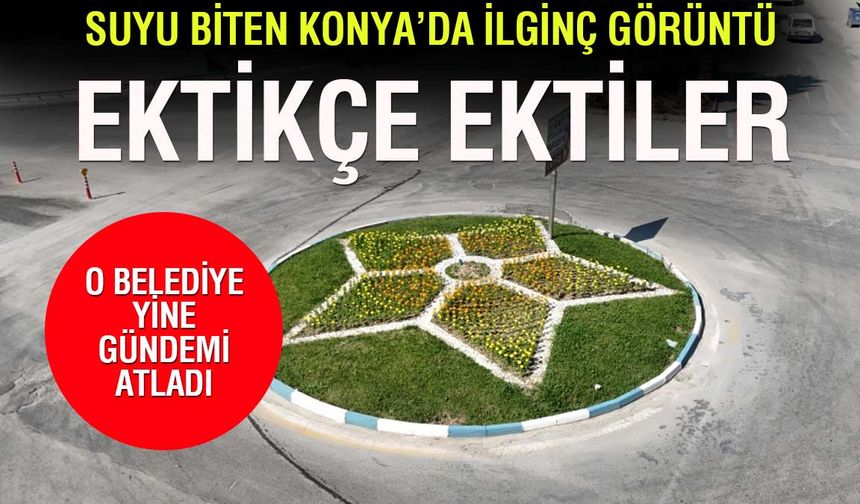 Suyu kalmayan Ereğli'nin refüjlerine çiçek