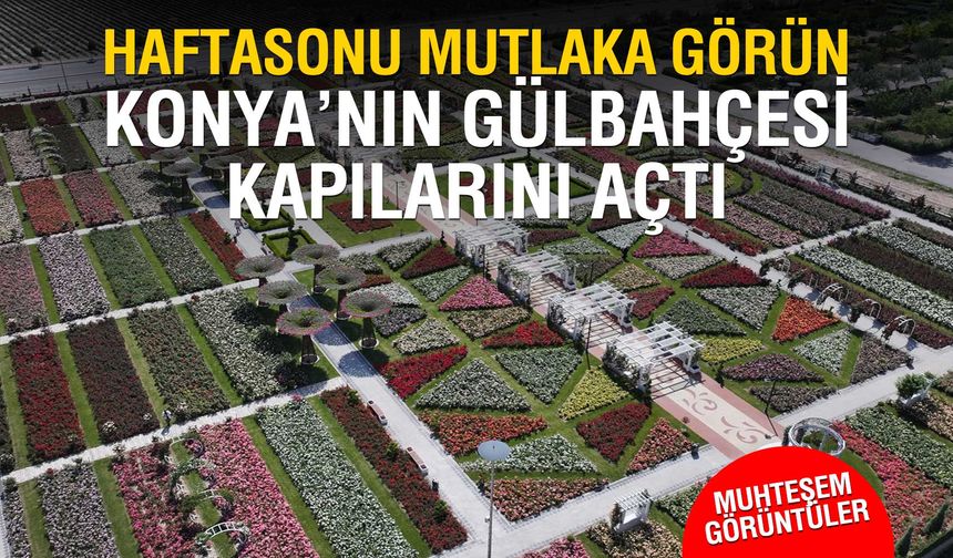 Konya'da 50 bin gonca açtı, ziyaretçilerini bekliyor