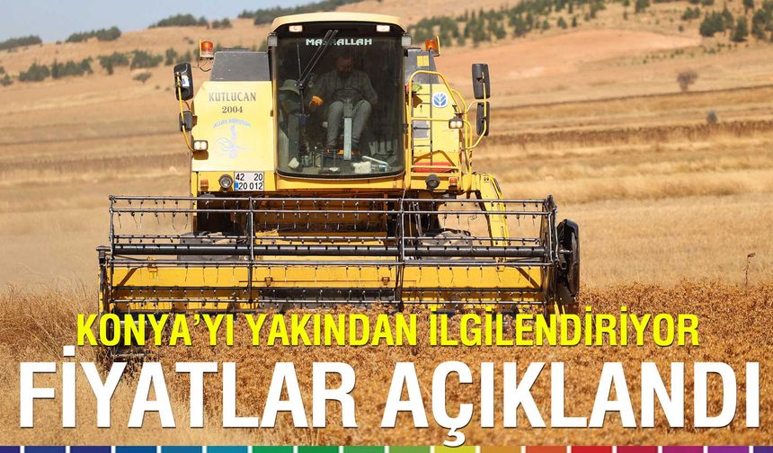 TMO, 2025 Hububat Alım Fiyatlarını Açıkladı: Buğday 13.500 TL, Arpa 11.000 TL