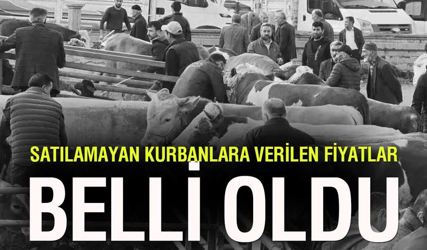 Et ve Süt Kurumu devrede: Satılamayan kurbanlıklar için alım fiyatları belli oldu