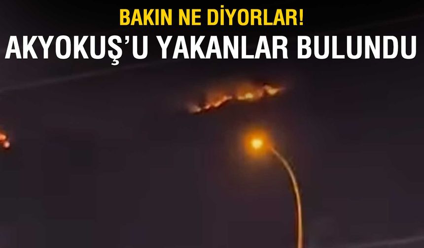 Akyokuş'taki orman yangının sorumluları yakalandı