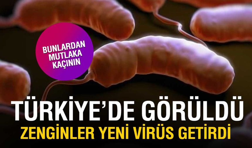 Vibrio Bakterisi Alarmı: Denize Açık Yarayla Girmeyin, Çiğ Deniz Ürünlerinden Uzak Durun!