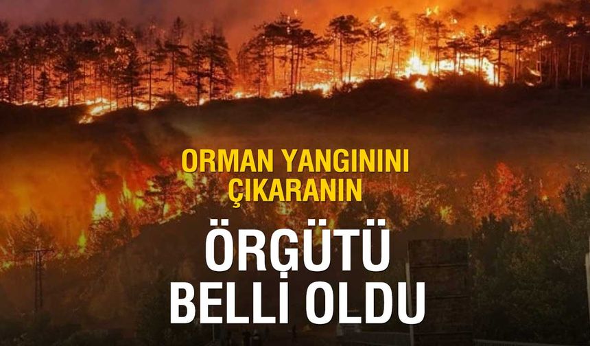 Orman Yangınını Çıkaranın Kim Olduğu Ortaya Çıktı