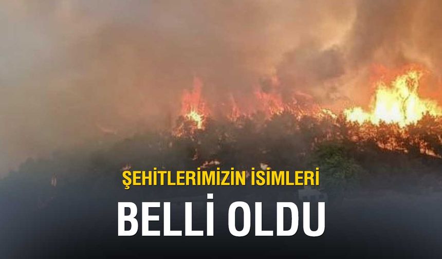 Orman Şehitlerimizin İsimleri Belli Oldu