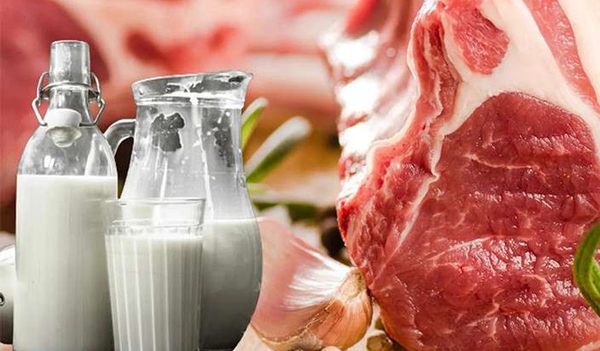 30 Noktada Ucuz Et ve Süt Ürünleri Satılacak