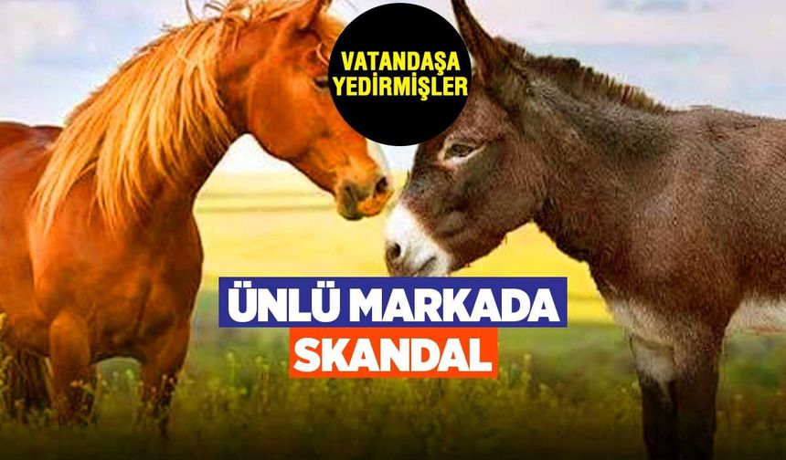 Bakanlık ifşa etti: Ünlü markanın sucuklarından at ve eşek eti çıktı