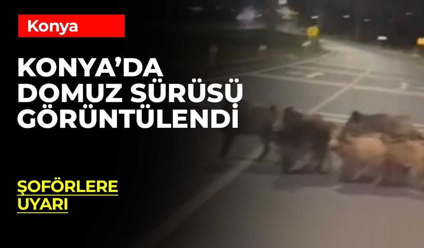 Konya’da Korkutan Anlar: Sürü Halinde Yola İndiler!
