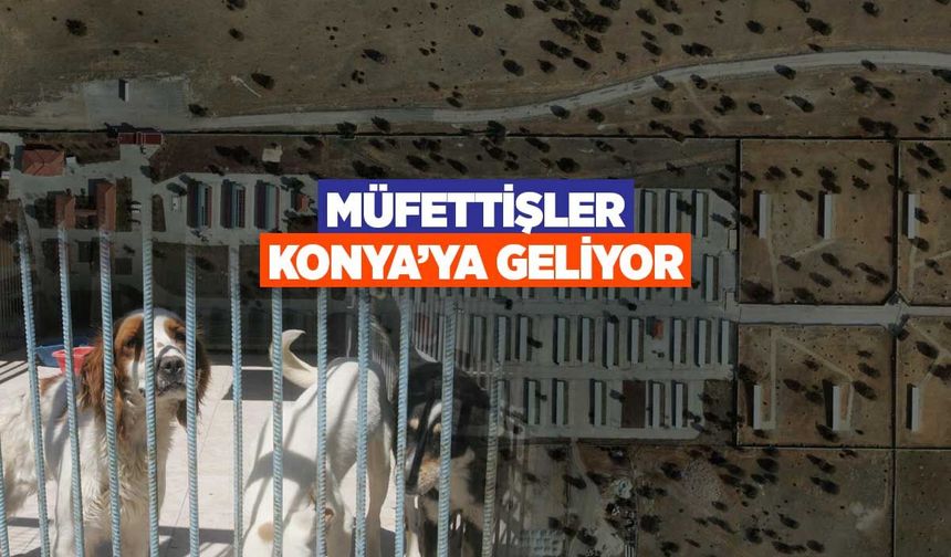 Konya’ya müfettiş yolda! Barınaklar mercek altında
