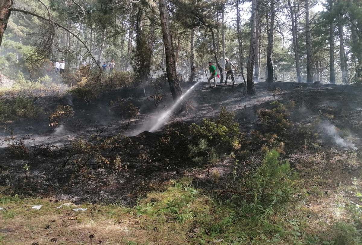 Konya Kestel Ormanındaki Yangın Söndürüldü 3