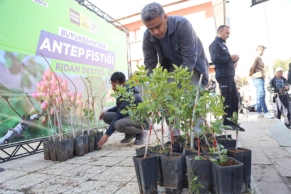 Konya Antep Fistigi 2