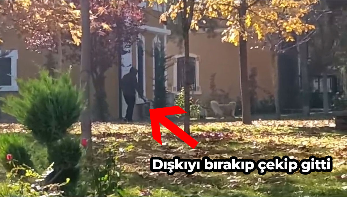 Konya Tuvalet Köpek 2