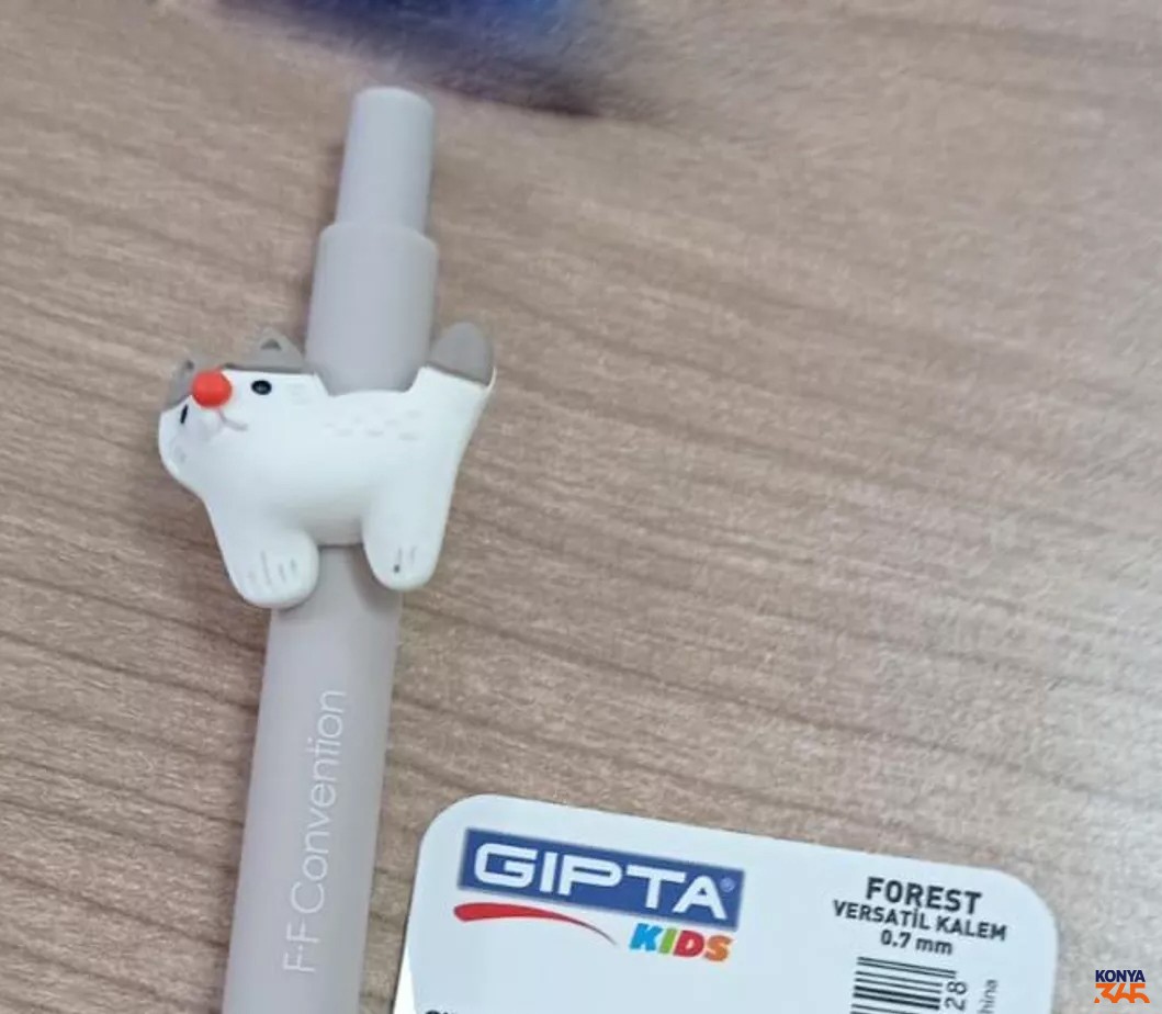 Gipta Versatil Kalem