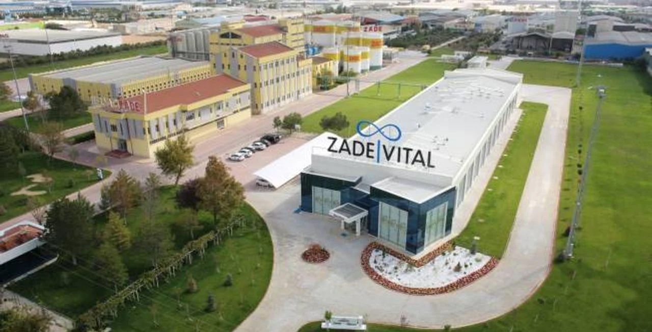 Helvacizade