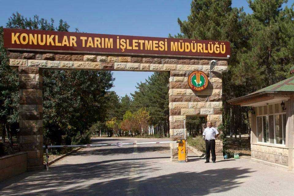 Konuklar Tarim