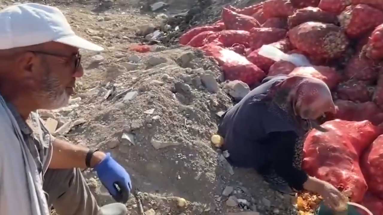 Tonlarca Sogan Ve Patates 2